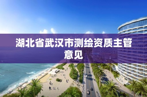 湖北省武汉市测绘资质主管意见