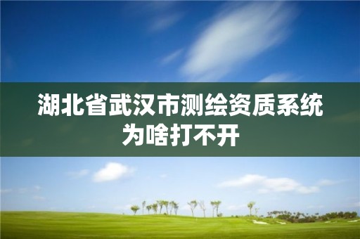 湖北省武汉市测绘资质系统为啥打不开