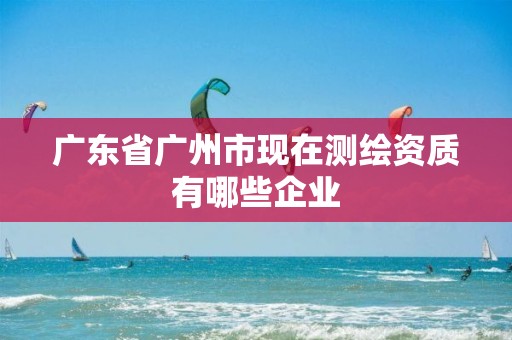 广东省广州市现在测绘资质有哪些企业