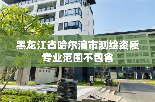 黑龙江省哈尔滨市测绘资质专业范围不包含