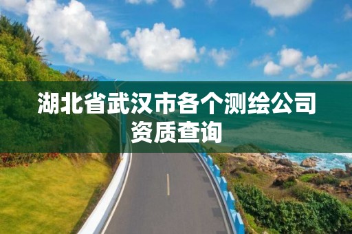 湖北省武汉市各个测绘公司资质查询