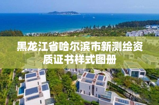 黑龙江省哈尔滨市新测绘资质证书样式图册