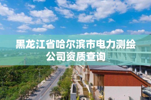 黑龙江省哈尔滨市电力测绘公司资质查询