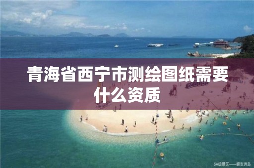 青海省西宁市测绘图纸需要什么资质