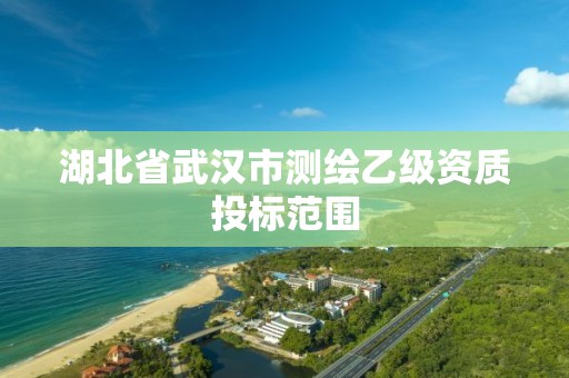 湖北省武汉市测绘乙级资质投标范围