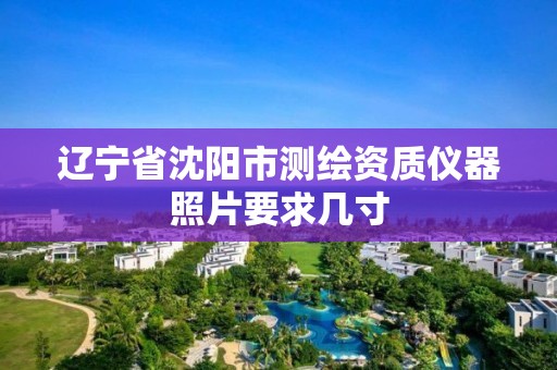 辽宁省沈阳市测绘资质仪器照片要求几寸