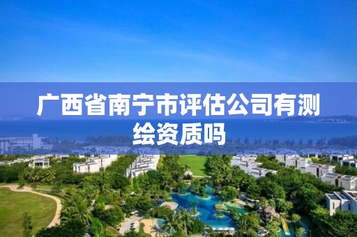 广西省南宁市评估公司有测绘资质吗