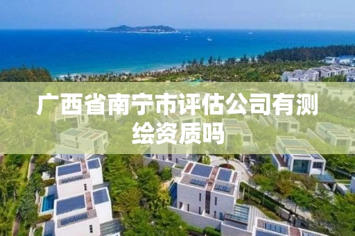 广西省南宁市评估公司有测绘资质吗 广西省南宁市评估公司有测绘资质吗