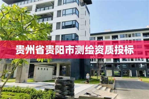 贵州省贵阳市测绘资质投标