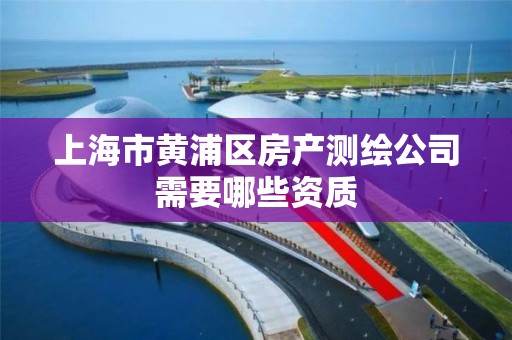 上海市黄浦区房产测绘公司需要哪些资质