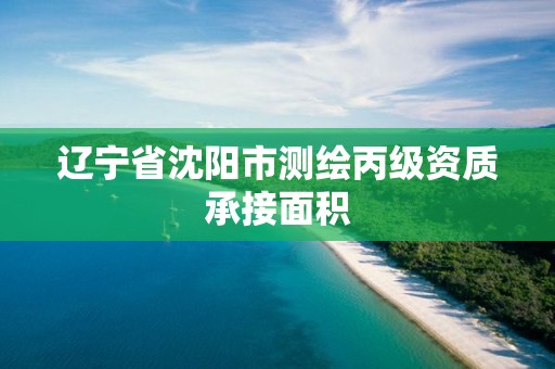 辽宁省沈阳市测绘丙级资质承接面积