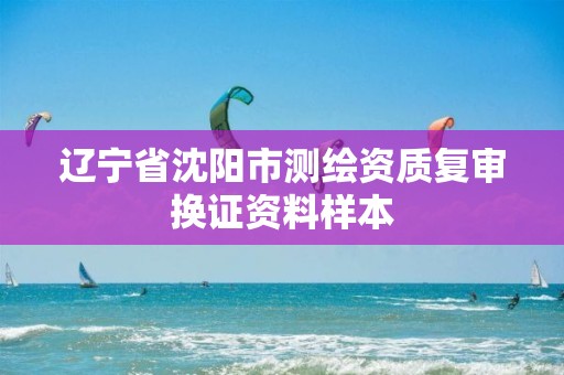 辽宁省沈阳市测绘资质复审换证资料样本