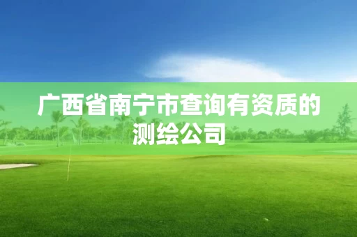 广西省南宁市查询有资质的测绘公司 广西省南宁市查询有资质的测绘公司