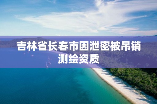 吉林省长春市因泄密被吊销测绘资质