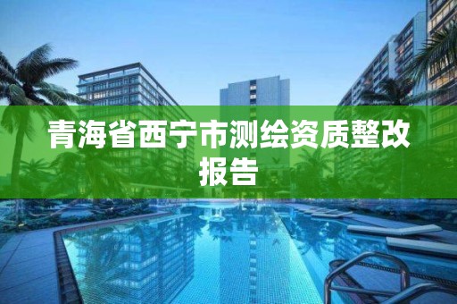 青海省西宁市测绘资质整改报告