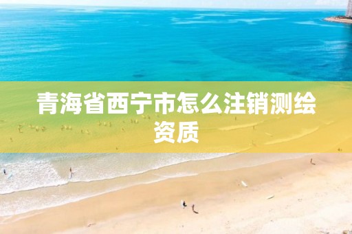 青海省西宁市怎么注销测绘资质