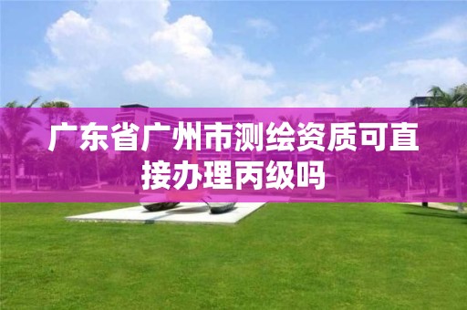 广东省广州市测绘资质可直接办理丙级吗