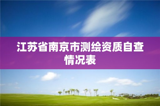 江苏省南京市测绘资质自查情况表