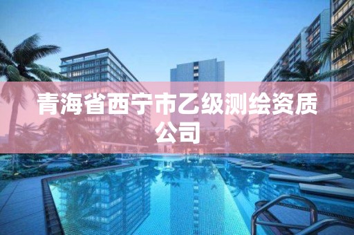 青海省西宁市乙级测绘资质公司