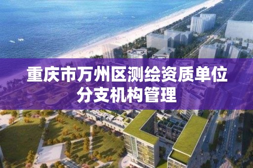 重庆市万州区测绘资质单位分支机构管理