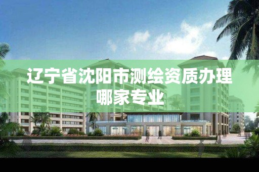 辽宁省沈阳市测绘资质办理哪家专业