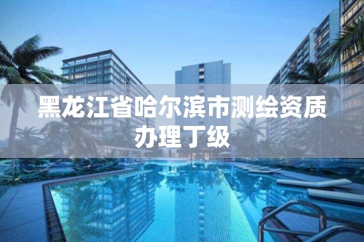 黑龙江省哈尔滨市测绘资质办理丁级