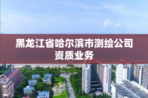 黑龙江省哈尔滨市测绘公司资质业务