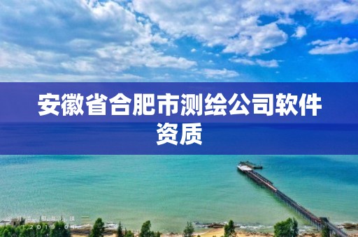 安徽省合肥市测绘公司软件资质