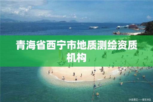 青海省西宁市地质测绘资质机构