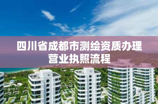 四川省成都市测绘资质办理营业执照流程