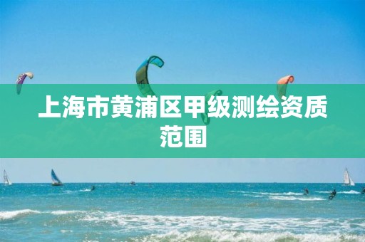 上海市黄浦区甲级测绘资质范围