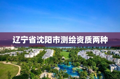 辽宁省沈阳市测绘资质两种