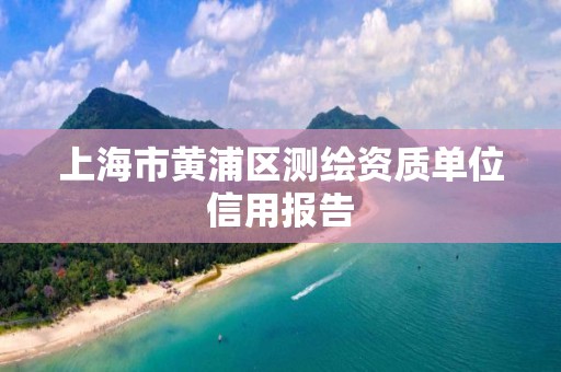 上海市黄浦区测绘资质单位信用报告