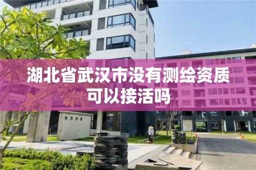 湖北省武汉市没有测绘资质可以接活吗