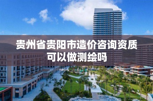 贵州省贵阳市造价咨询资质可以做测绘吗