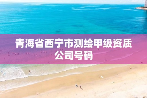 青海省西宁市测绘甲级资质公司号码