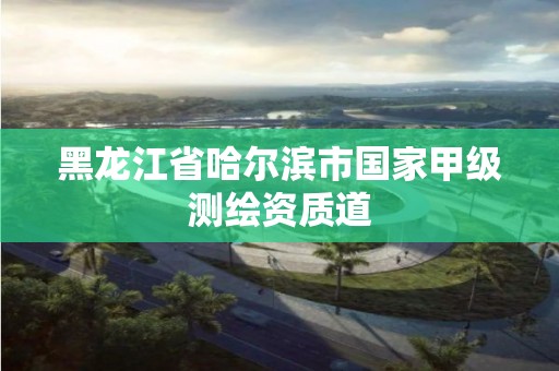 黑龙江省哈尔滨市国家甲级测绘资质道