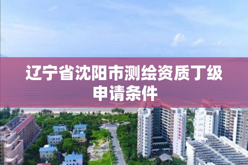 辽宁省沈阳市测绘资质丁级申请条件