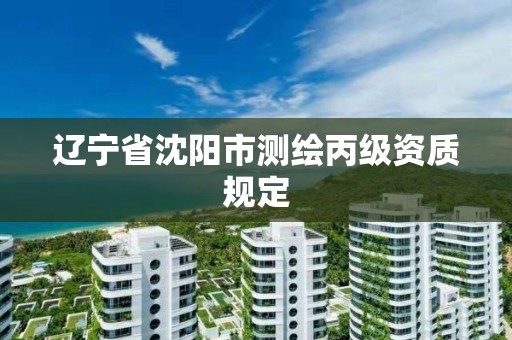 辽宁省沈阳市测绘丙级资质规定