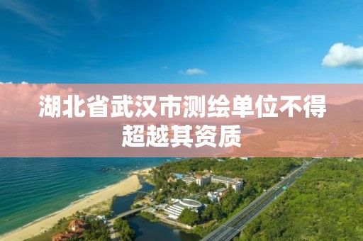 湖北省武汉市测绘单位不得超越其资质