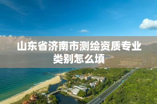 山东省济南市测绘资质专业类别怎么填