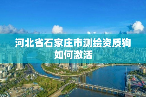 河北省石家庄市测绘资质狗如何激活