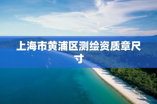 上海市黄浦区测绘资质章尺寸