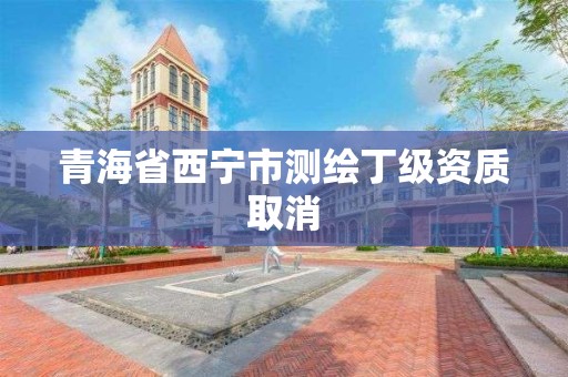 青海省西宁市测绘丁级资质取消