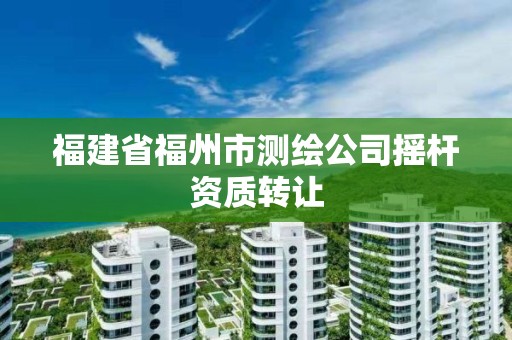 福建省福州市测绘公司摇杆资质转让