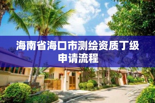 海南省海口市测绘资质丁级申请流程