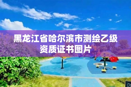 黑龙江省哈尔滨市测绘乙级资质证书图片