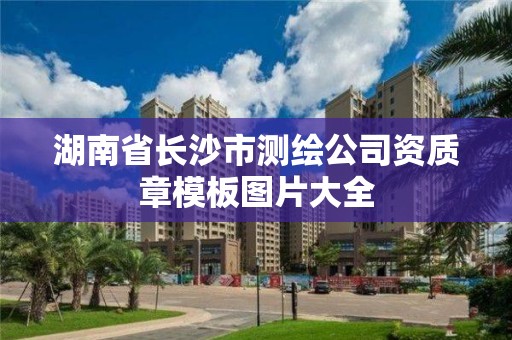 湖南省长沙市测绘公司资质章模板图片大全