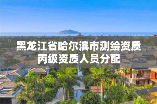 黑龙江省哈尔滨市测绘资质丙级资质人员分配