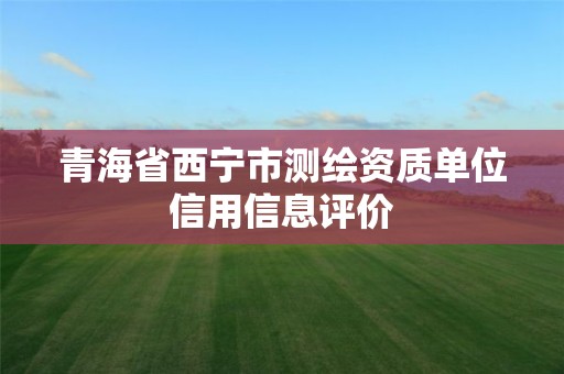 青海省西宁市测绘资质单位信用信息评价